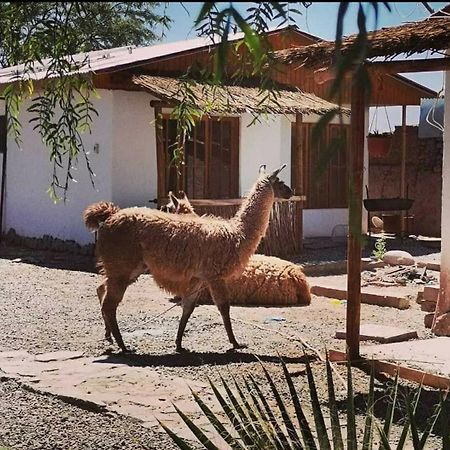 Cabanas Voyage Atacama San Pedro de Atacama Exteriér fotografie