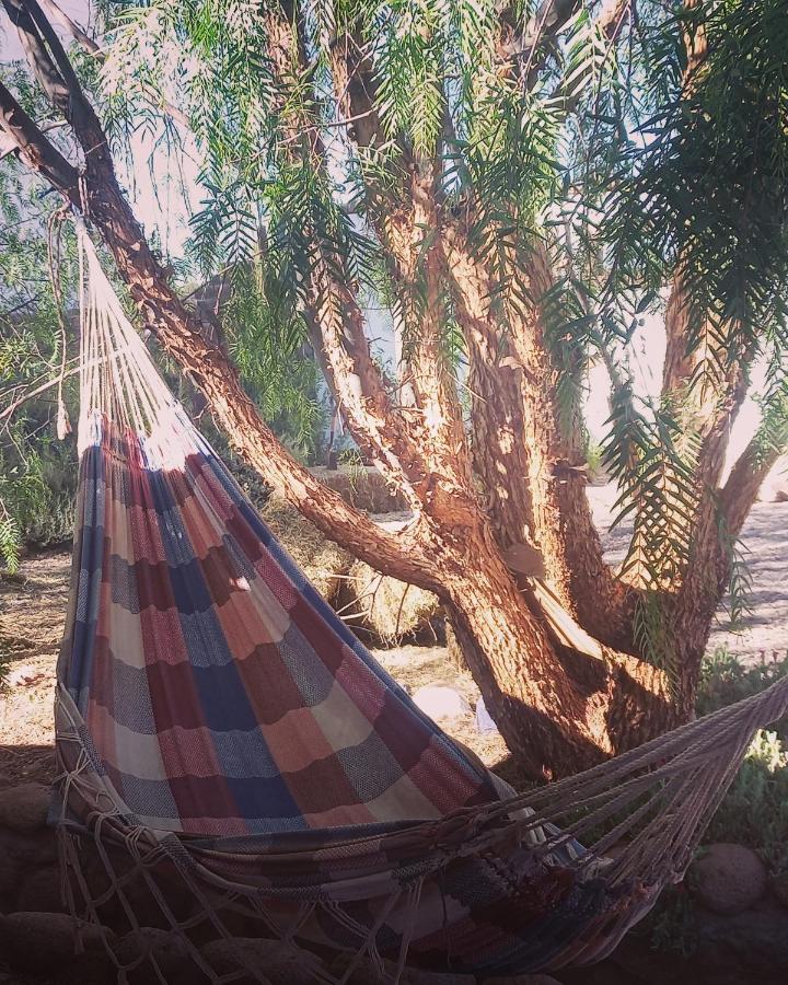 Cabanas Voyage Atacama San Pedro de Atacama Exteriér fotografie