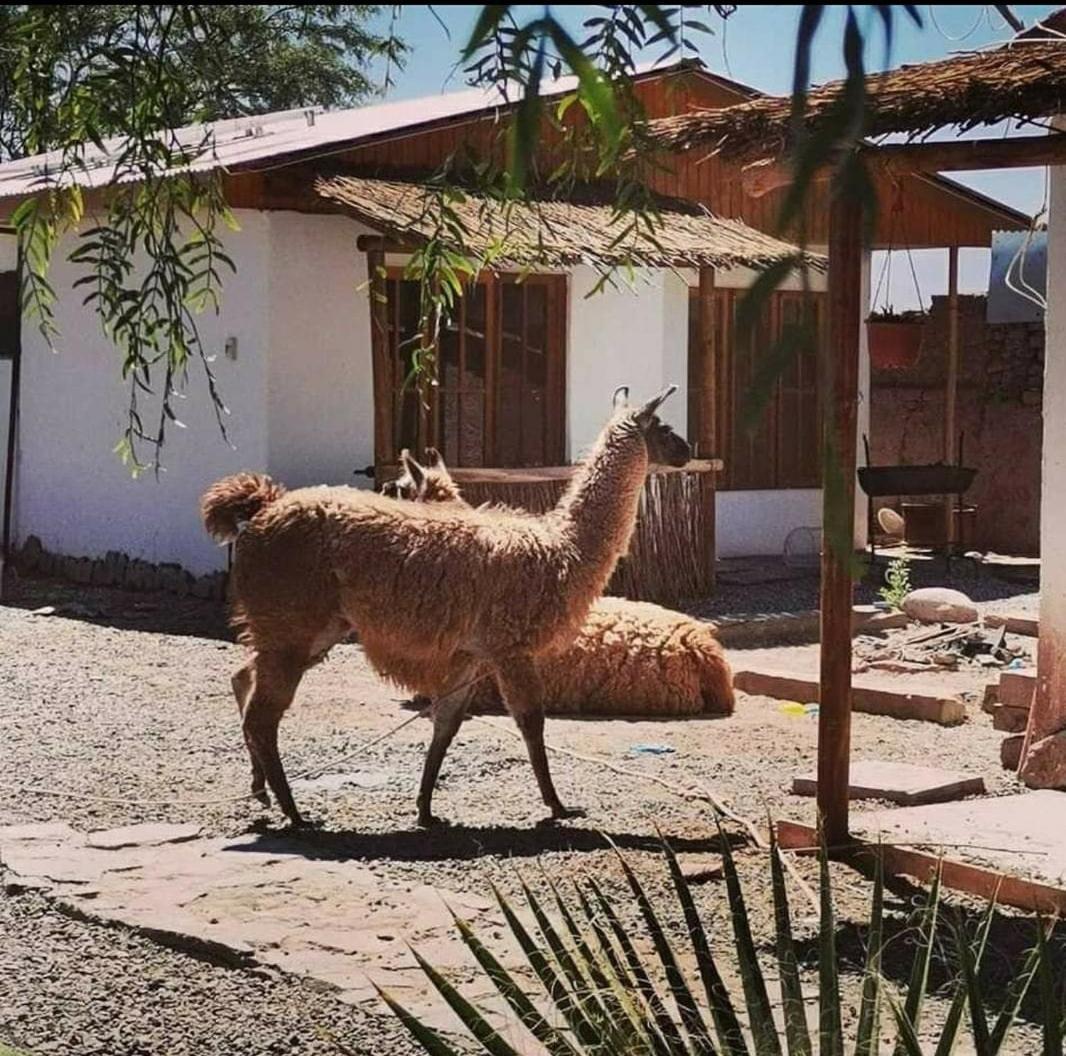 Cabanas Voyage Atacama San Pedro de Atacama Exteriér fotografie
