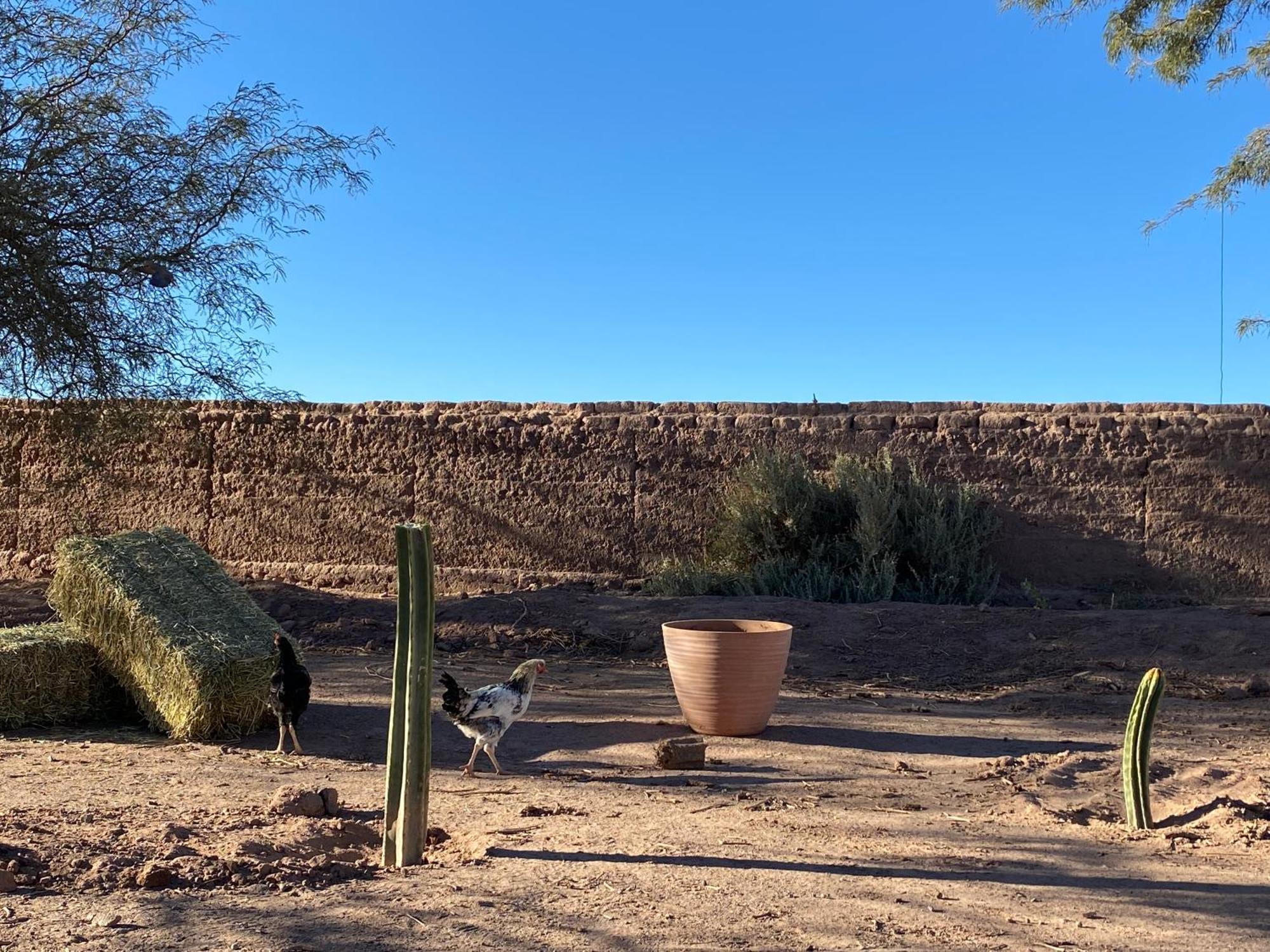 Cabanas Voyage Atacama San Pedro de Atacama Exteriér fotografie